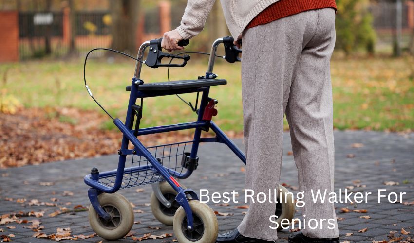 Best Rolling Walker For Seniors