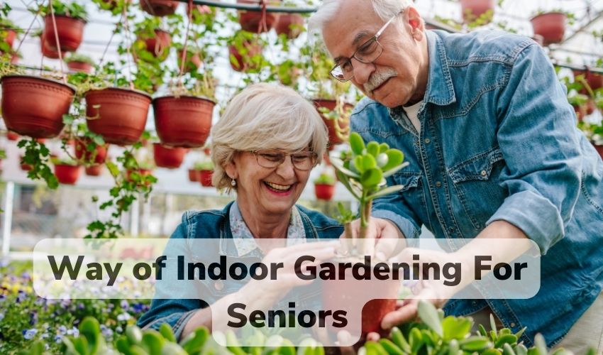 indoor gardening for seniors
