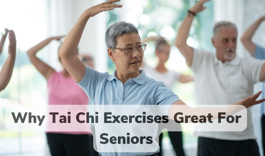 tai chi exercises for seniors