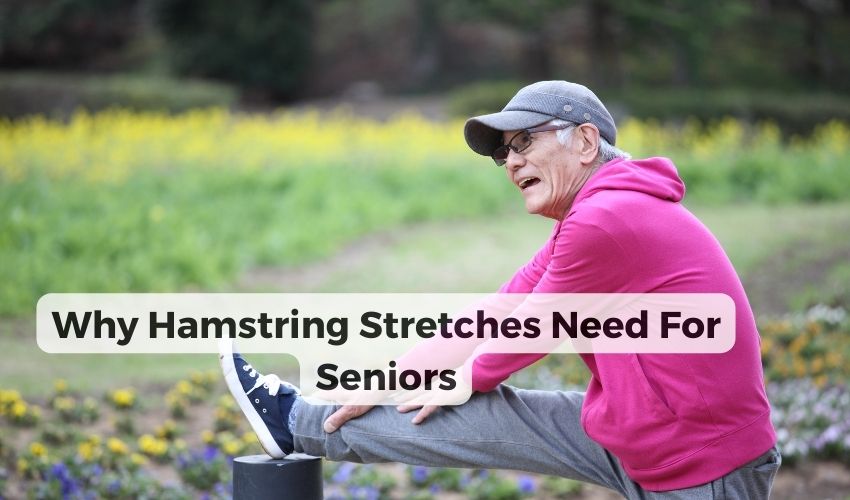Hamstring Stretches For Seniors