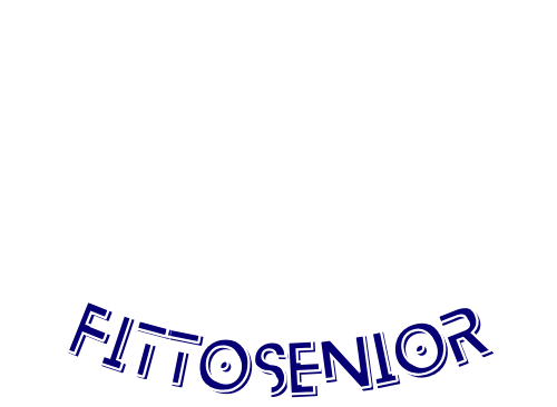 How To Get Fit For Seniors