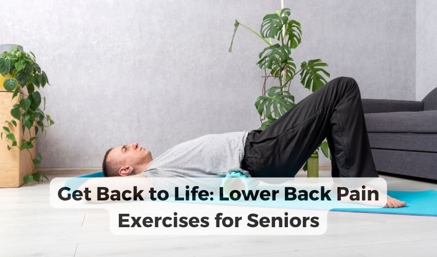 lower back pain exercises for seniors