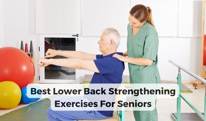 lower back strengthening exercises for seniors
